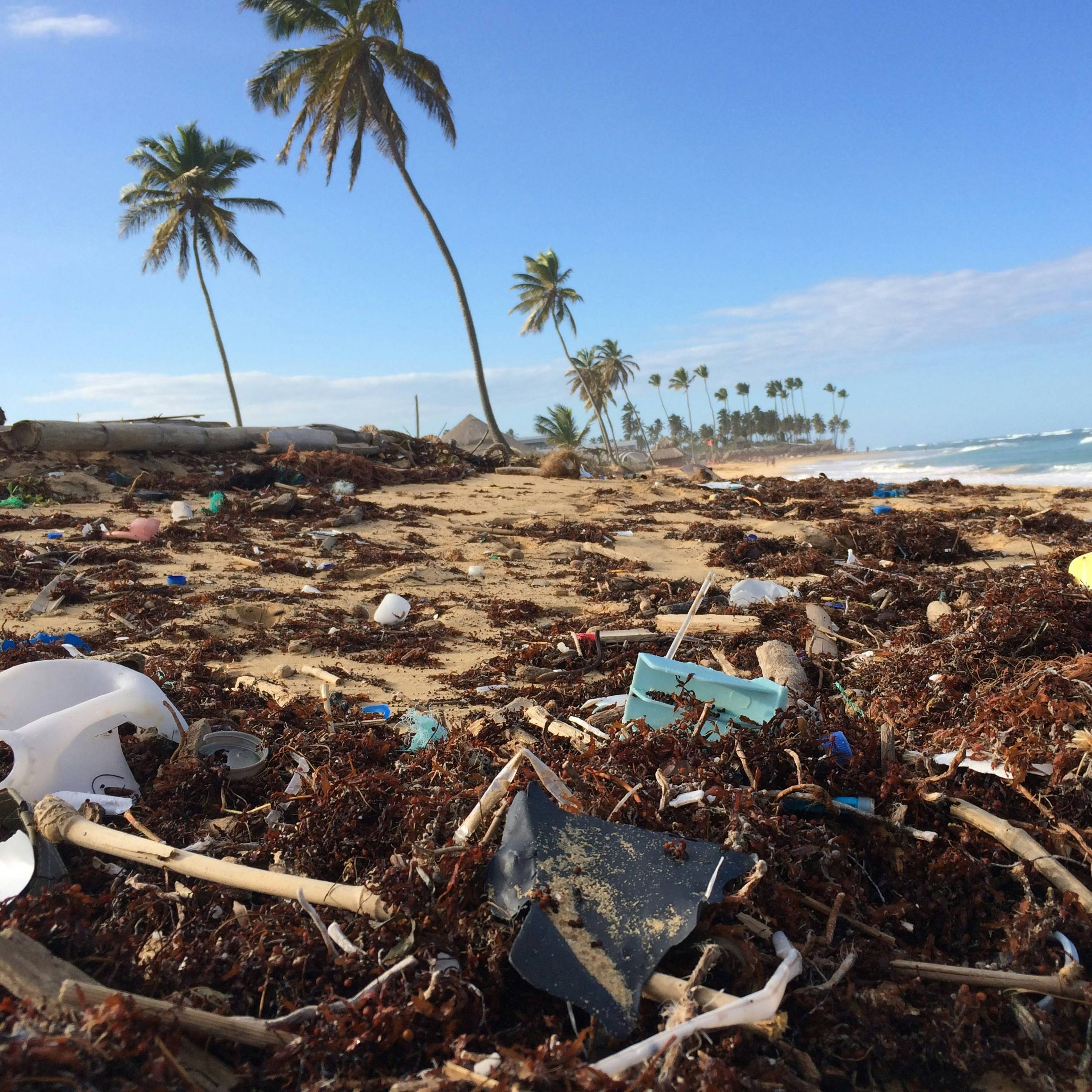 Plastic pollution at costal area (source: Unsplash)