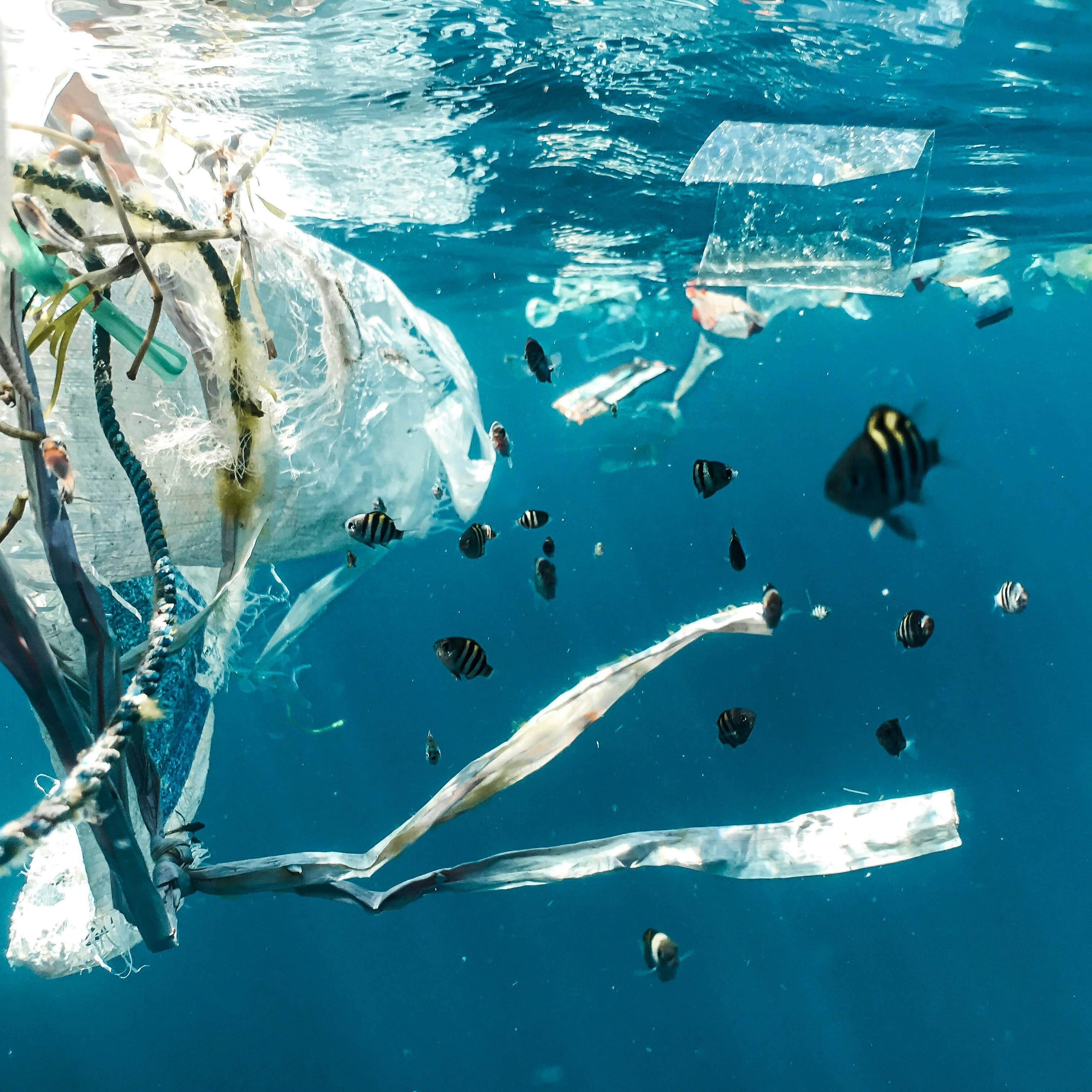 Plastic pollution in Ocean (source: Unsplash)