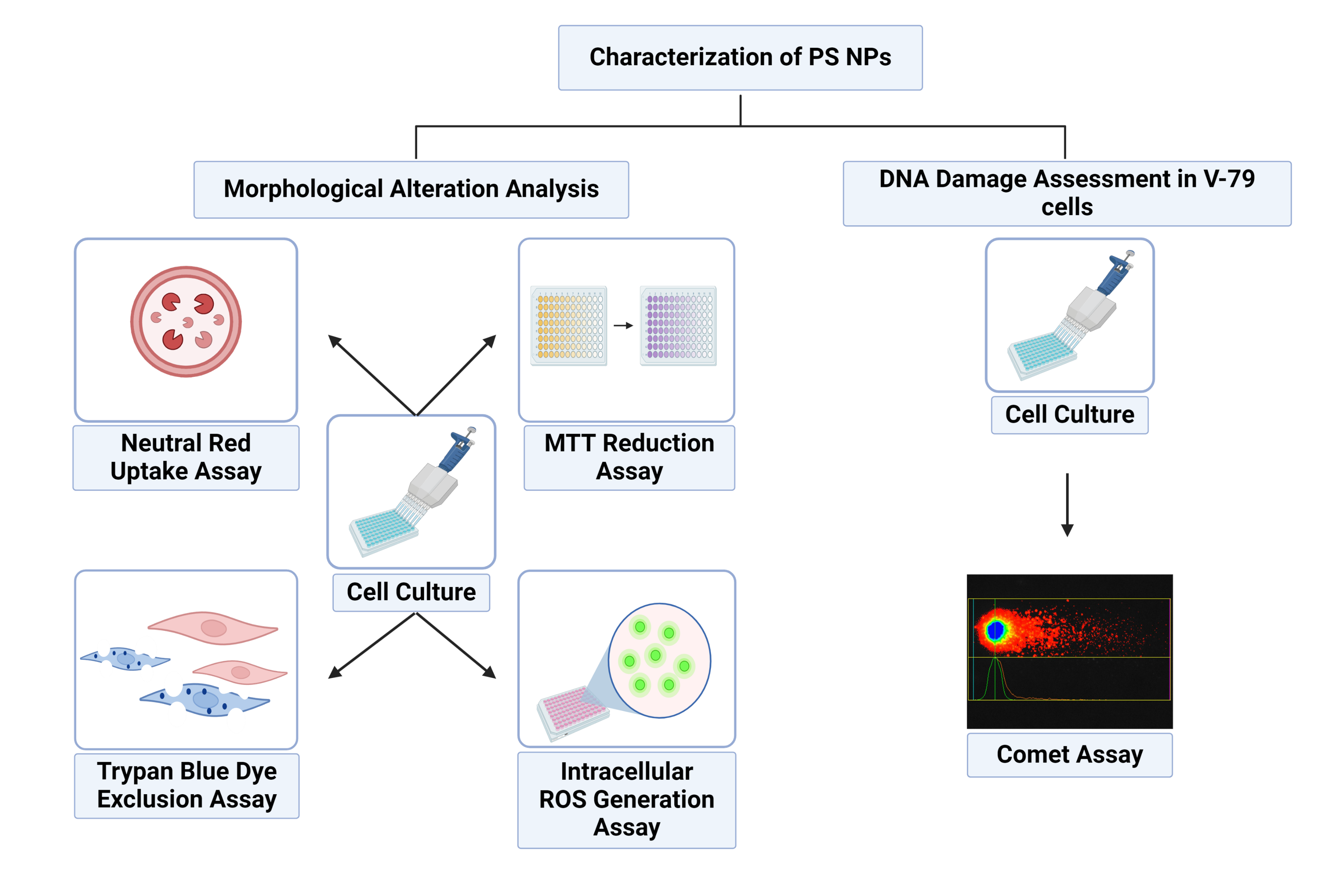 Methodology of the Project